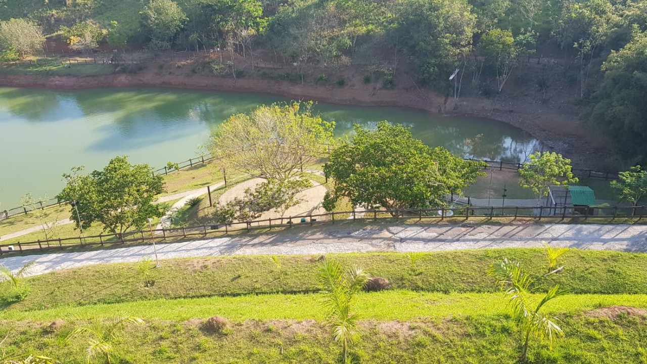 T097314.jpeg