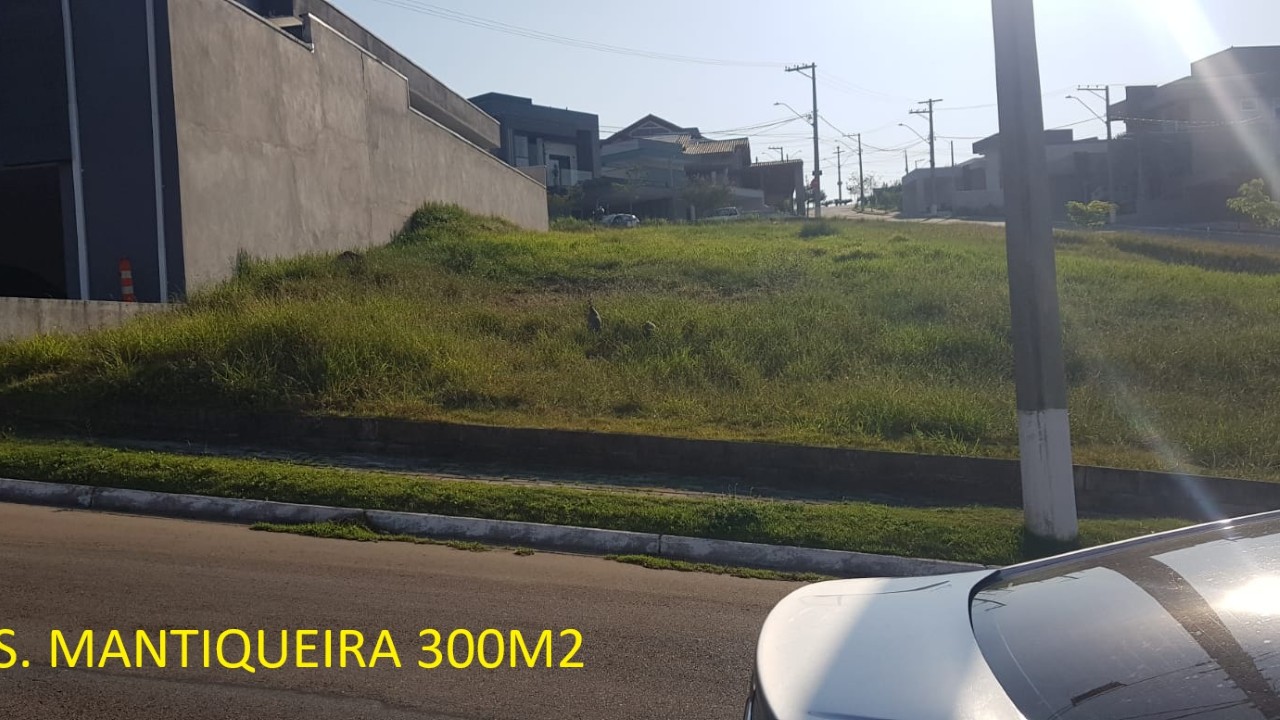 T09737.jpeg